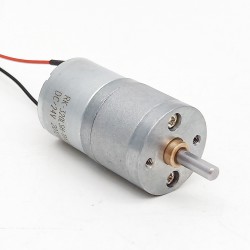 2 piezas Φ25mm 6V/12V Motorreductor de CC brushed motor pmdc GM25-320SH con caja de engranajes rectos