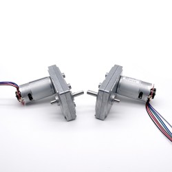 2 piezas 12V/24V Motorreductor de CC brushed motor pmdc GM100F-555PM con caja de engranajes rectos