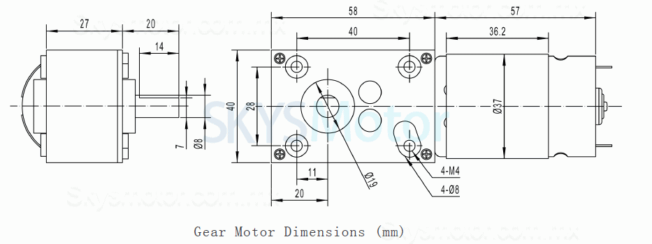 2 piezas 12V/24V Motorreductor corona sin fin dc TWG4058-555PM 8,8W eje de 8mm