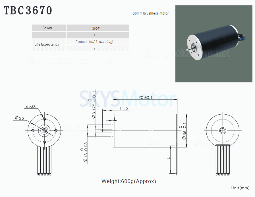 2 piezas Φ36mm motor sin núcleo brushless 24V / 36V TBC3670, 1,2-2,4kg.cm, 67-270W, eje de 3,175mm