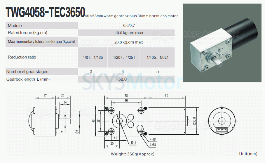 2 piezas 12V/24V Motorreductor corona sin fin dc TWG4058-TEC3650 7W/10,9W eje de 6mm